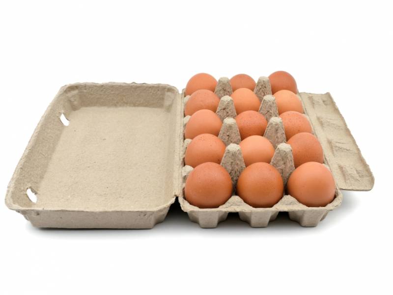 Box of 15 Eggs