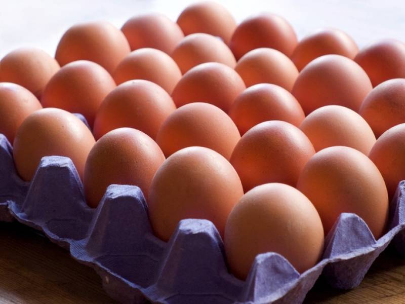 كرتونة 30 بيضة